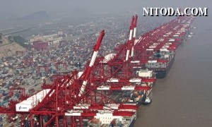 Khả năng đáp ứng container rỗng tại các cảng Trung Quốc được cải thiện