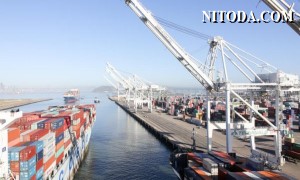  Cảng Oakland ghi nhận sản lượng container giảm