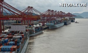 Nhiều chuyến tàu bị hủy khiến chỉ số vận chuyển hàng hóa container Ningbo tăng mạnh