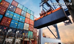Sea-Intelligence: Nhu cầu container toàn cầu thấp hơn mức tăng trưởng GDP 6-7% kể từ năm 2019
