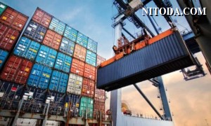 Mối quan hệ giữa GDP toàn cầu và nhu cầu vận tải container