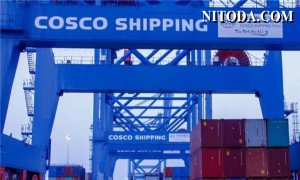COSCO SHIPPING Ports báo cáo Q3 năm 2023: Doanh thu tăng trưởng ổn định mặc dù lợi nhuận sụt giảm