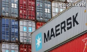 Maersk quyết định cắt giảm ít nhất 10.000 việc làm