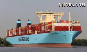 Maersk tăng cường thuê tàu để cạnh tranh với MSC