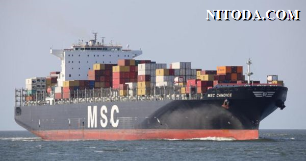 Tàu container của Hãng tàu MSC