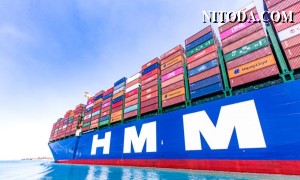 Liệu chính phủ Hàn Quốc có bán hãng tàu HMM?