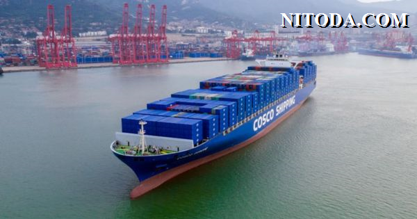 Tàu container của Hãng tàu COSCO SHIPPING