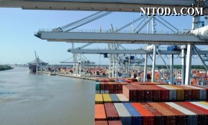 Cảng Savannah khai thác container đạt gần 430.000 TEU trong tháng 1 năm 2024