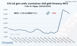 Thị trường vận tải và logistics quốc tế Tuần 9/2024