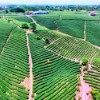 Gửi nông sản đi Pakistan – Cơ hội cho nông sản Việt vươn xa