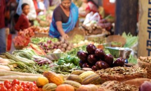 Sản phẩm chè xanh cung cấp cho Pakistan  – Thị trường tiềm năng cho nông sản Việt