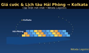 Giá cước & Lịch tàu Hải Phòng → Kolkata | Cập nhật mới nhất từ Nitoda Logistics