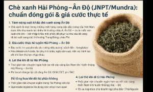  Chè Xanh Hải Phòng – Ấn Độ (JNPT/Mundra): Chuẩn Đóng Gói & Giá Cước Thực Tế