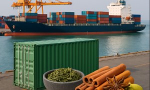 Hải Phòng – Cochin (Cochi): Vận Chuyển FCL/LCL Cho Trà & Gia Vị