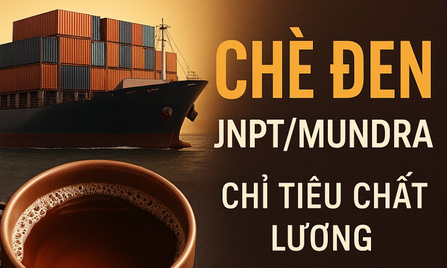 Chè Đen: JNPT/Mundra – Chỉ Tiêu Chất Lượng & Lưu Ý Kiểm Dịch