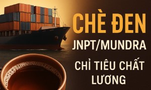 Chè Đen: JNPT/Mundra – Chỉ Tiêu Chất Lượng & Lưu Ý Kiểm Dịch