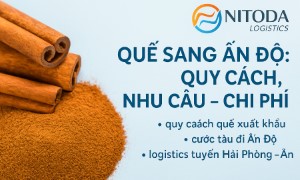 Quế hồi sang Ấn Độ: quy cách, nhu cầu – chi phí