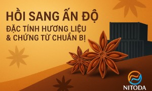 Hồi sang Ấn Độ: đặc tính hương liệu & chứng từ chuẩn bị