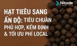 Hạt Tiêu Sang Ấn Độ: Tiêu Chuẩn Phù Hợp, Kiểm Định & Tối Ưu Phí Local