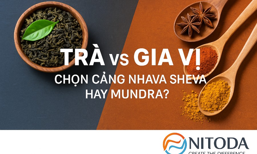 Trà vs Gia Vị: Chọn Cảng Nhava Sheva Hay Mundra?