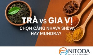 Trà vs Gia Vị: Chọn Cảng Nhava Sheva Hay Mundra?