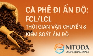Cà Phê Đi Ấn Độ: FCL/LCL, Thời Gian Vận Chuyển & Kiểm Soát Ẩm Độ