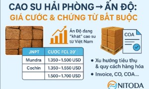 Cao Su Hải Phòng → Ấn Độ: Giá Cước & Chứng Từ Bắt Buộc