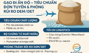 Gạo Đi Ấn Độ – Tiêu Chuẩn Đơn Tuyến & Phòng Rủi Ro DEM/DET
