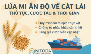 Lúa Mì Ấn Độ Về Cát Lái – Thủ Tục, Cước Tàu & Thời Gian