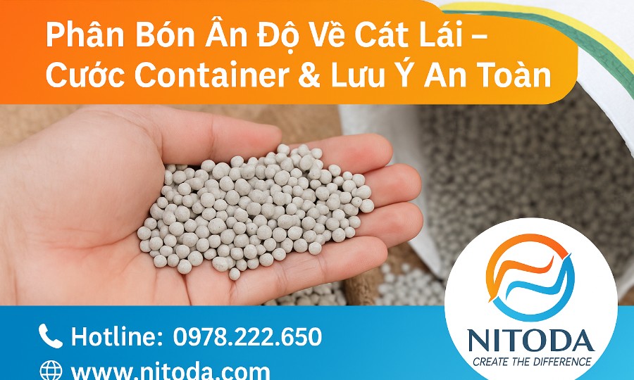 Phân Bón Ấn Độ Về Cát Lái – Cước Container & Lưu Ý An Toàn