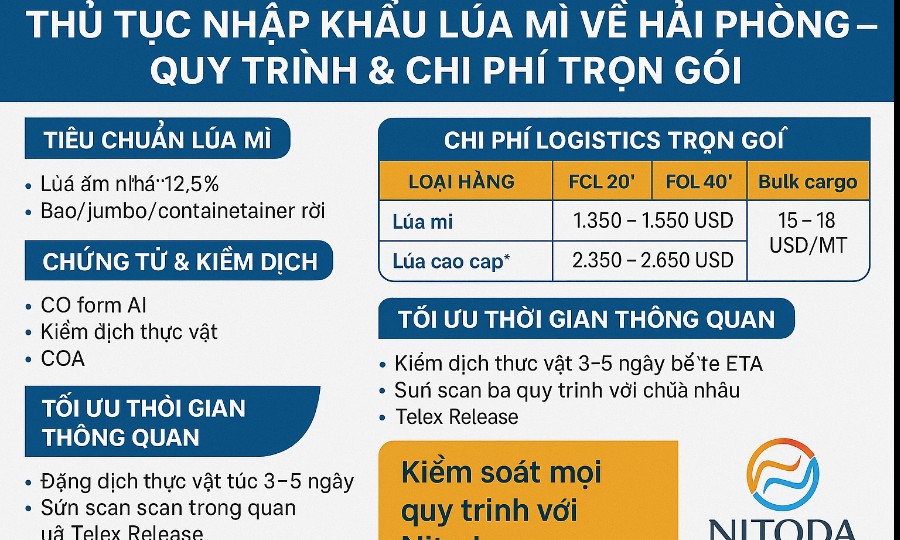 Thủ Tục Nhập Khẩu Lúa Mì Về Hải Phòng – Quy Trình & Chi Phí Trọn Gói