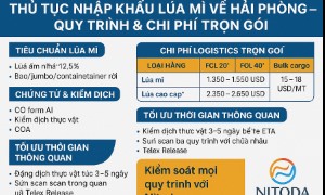 Thủ Tục Nhập Khẩu Lúa Mì Về Hải Phòng – Quy Trình & Chi Phí Trọn Gói