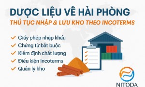 Dược Liệu Về Hải Phòng – Thủ Tục Nhập & Lưu Kho Theo Incoterms