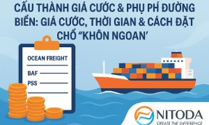 Cấu Thành Giá Cước & Phụ Phí Đường Biển: Giá Cước, Thời Gian & Cách Đặt Chỗ “Khôn Ngoan”