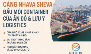 Cảng Nhava Sheva – Đầu Mối Container Của Ấn Độ & Lưu Ý Logistics | Nitoda Logistics