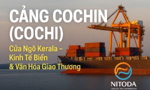 Cảng Cochin (Cochi): cửa ngõ Kerala – kinh tế biển & văn hóa giao thương