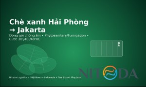 Chè xanh Hải Phòng → Jakarta: đóng gói hút ẩm, kiểm dịch & cước 20’/40’/40’HC