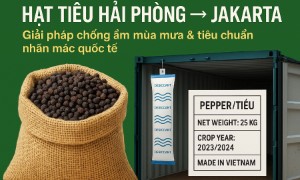 Hạt tiêu Hải Phòng → Jakarta: Giải pháp chống ẩm mùa mưa & tiêu chuẩn nhãn mác quốc tế
