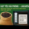 Hạt tiêu Hải Phòng → Jakarta: Giải pháp chống ẩm mùa mưa & tiêu chuẩn nhãn mác quốc tế