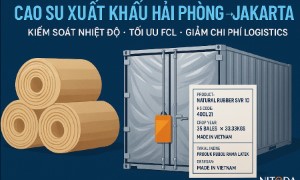Cao su xuất khẩu Hải Phòng → Jakarta: kiểm soát nhiệt độ, tối ưu FCL & giảm chi phí logistics