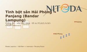 Tinh bột sắn từ Hải Phòng đến Panjang: Bí quyết giữ chất lượng & tiết kiệm chi phí logistics