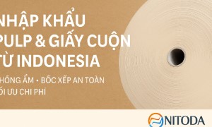 Nhập khẩu Pulp & Giấy cuộn từ Indonesia về Việt Nam
