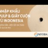 Nhập khẩu Pulp & Giấy cuộn từ Indonesia về Việt Nam