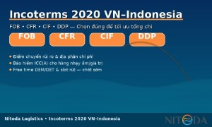 Incoterms 2020 tuyến Việt Nam – Indonesia: chọn FOB/CFR/CIF/DDP thế nào?
