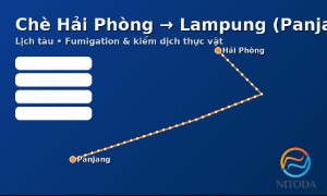 Chè Hải Phòng → Lampung (Panjang): lịch tàu, fumigation & kiểm dịch thực vật