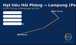 Xuất khẩu Hạt tiêu từ  Hải Phòng → Lampung (Panjang): LCL/FCL & lưu ý thông quan tại đích