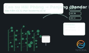 Cao su Hải Phòng → Panjang (Bandar Lampung): bảo hiểm ICC & chọn Incoterms có lợi