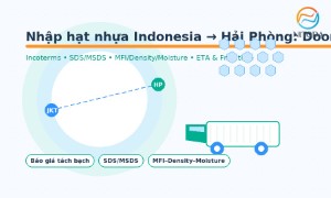Nhập hạt nhựa Indonesia về Hải Phòng: Door to Door dễ hiểu – dễ làm