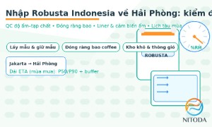 Nhập robusta Indonesia về Hải Phòng: kiểm định & bảo quản