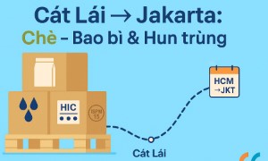 Chè từ Cát Lái → Jakarta (bao bì & hun trùng): cẩm nang đóng gói sạch, chống ẩm, về hàng đúng hẹn